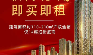 江苏南京殷富花苑门面房：一铺养三代，财富与烟火的双重交响 ——解码南京城南新中芯的商铺投资密码